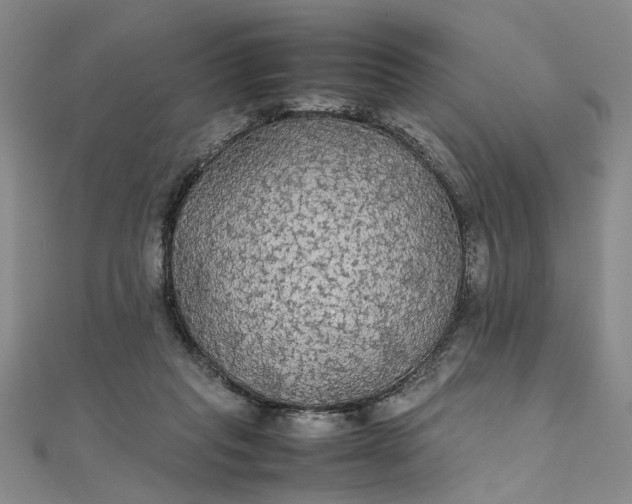 X0000111860261200908061342