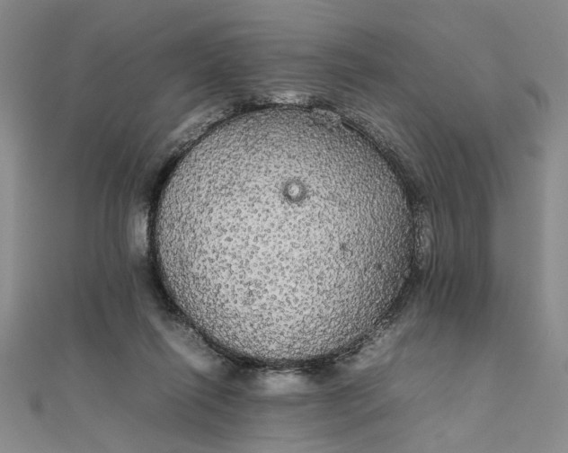 X0000111860262200908061342