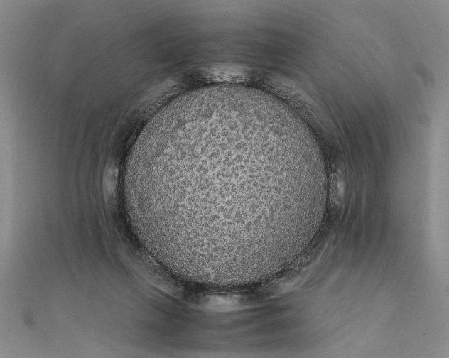 X0000111860263200908061342