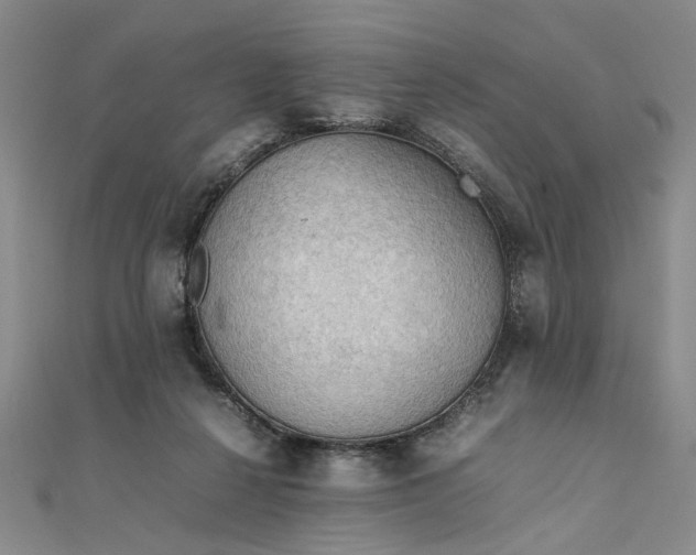 X0000111860264200908061342