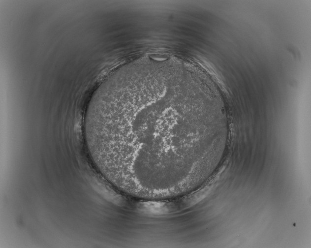 X0000111860265200908061342