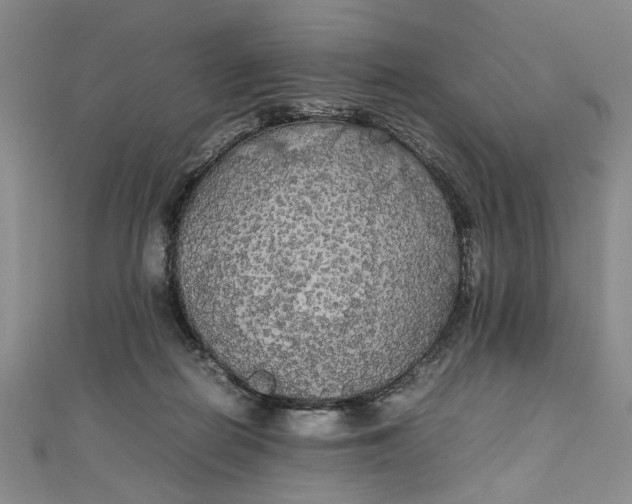 X0000111860266200908061342