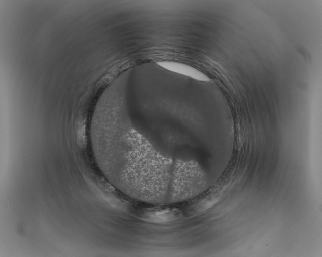 X0000111860267200908061342