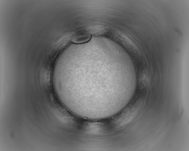 X0000111860268200908061342