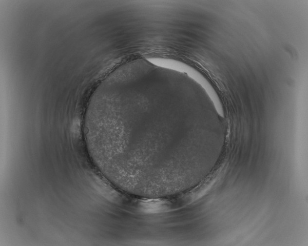 X0000111860269200908061342