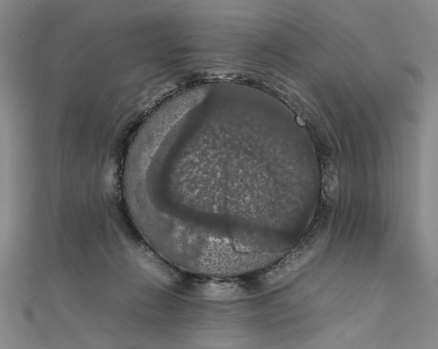 X0000111860270200908061342