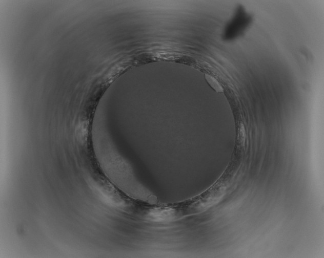 X0000111860271200908061342