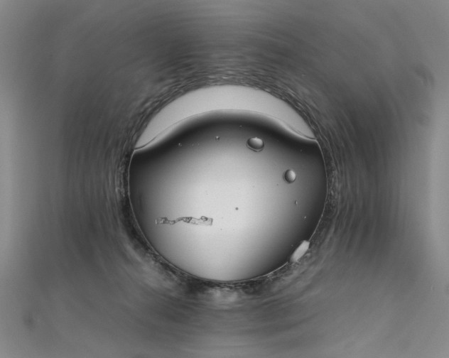 X0000111860272200908061342