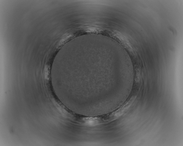 X0000111860273200908061342