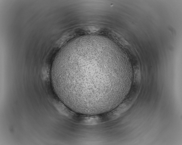 X0000111860274200908061342