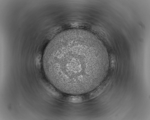 X0000111860275200908061342