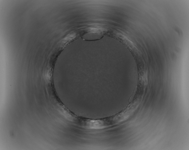 X0000111860277200908061342