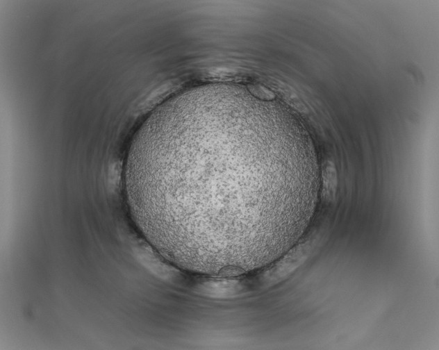 X0000111860278200908061342