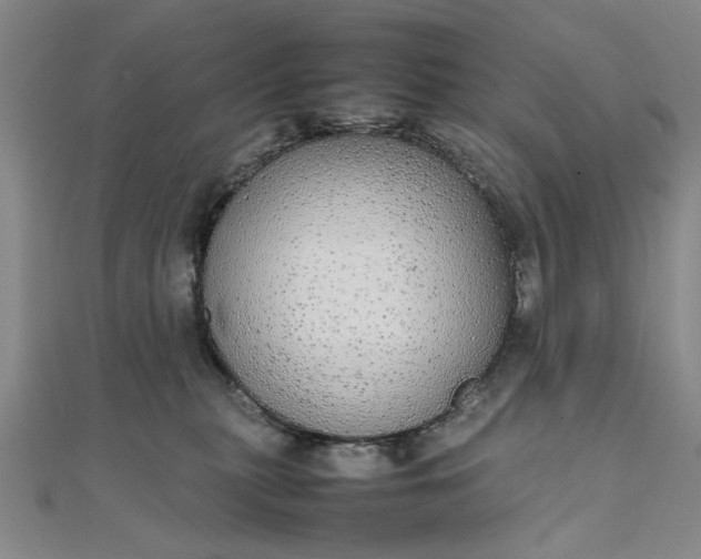 X0000111860279200908061342