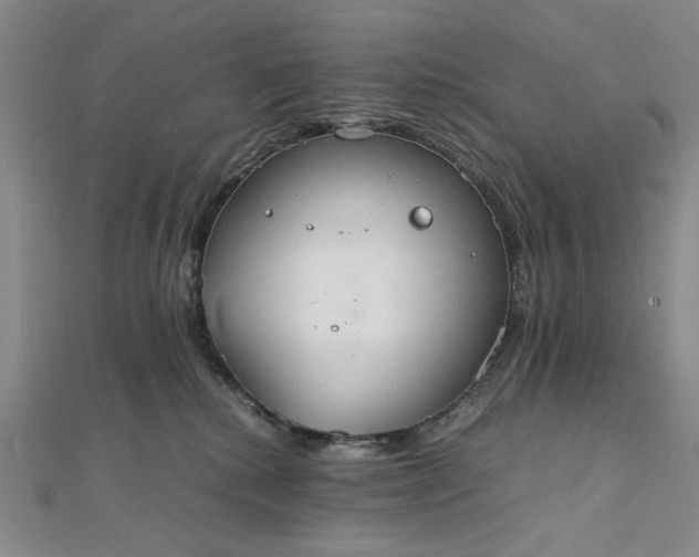 X0000111860280200908061342