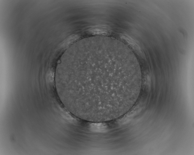 X0000111860281200908061342