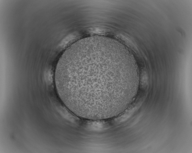 X0000111860282200908061342