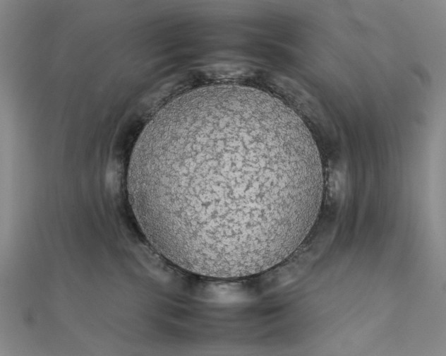 X0000111860283200908061342