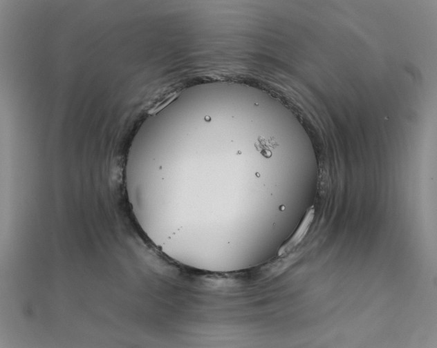 X0000111860284200908061342