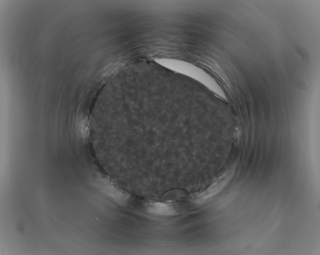 X0000111860285200908061342