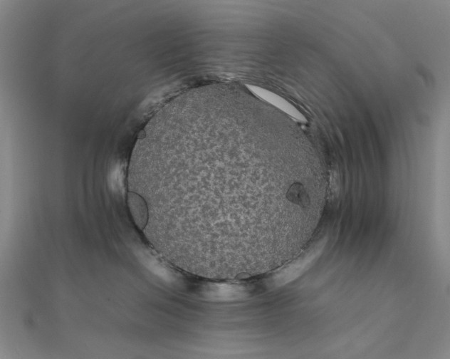 X0000111860286200908061342