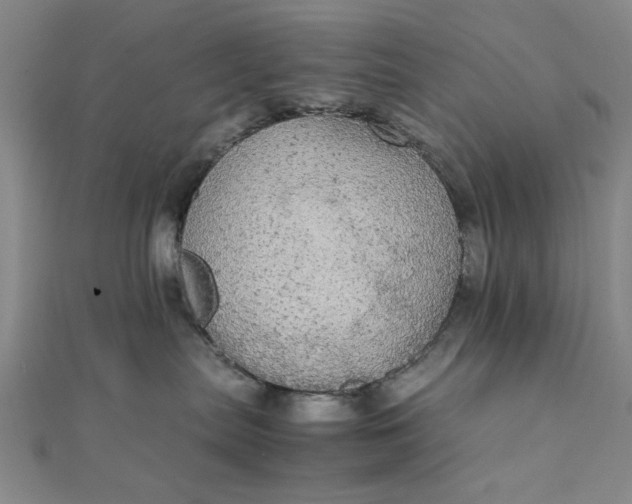 X0000111860287200908061342