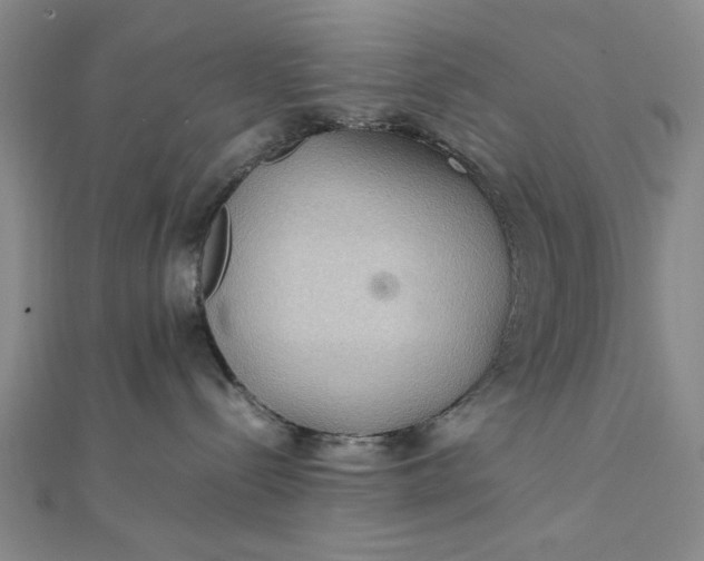 X0000111860288200908061342