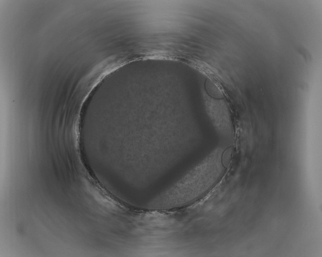 X0000111860290200908061341