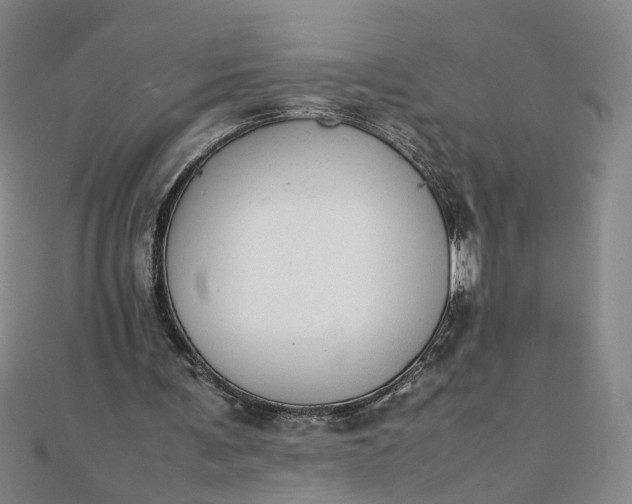 X0000111860291200908061341