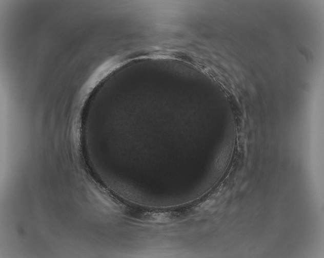 X0000111860295200908061341