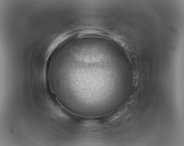 X0000111860296200908061341