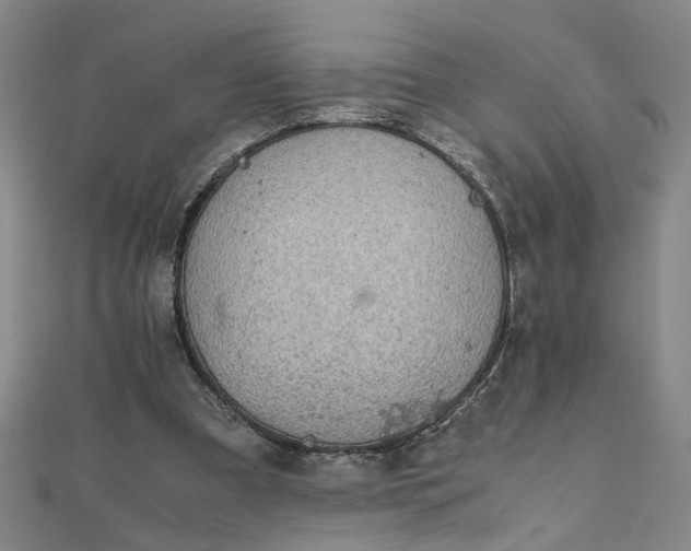 X0000111860297200908061341