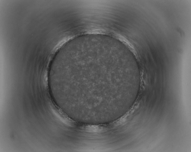 X0000111860298200908061341