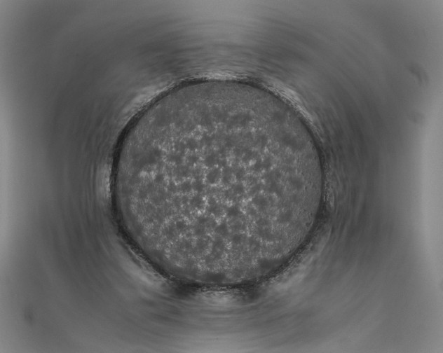 X0000111860299200908061341