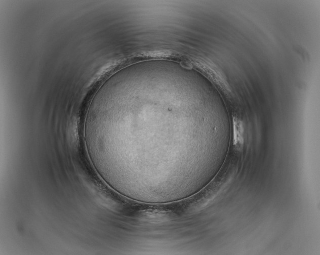 X0000111860300200908061341