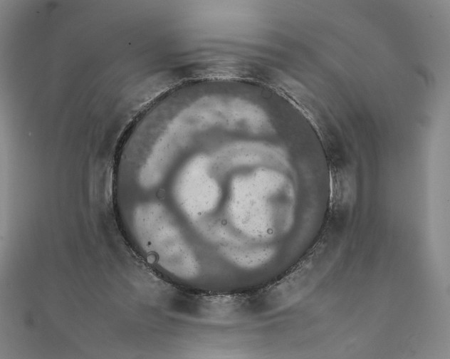 X0000111860301200908061341