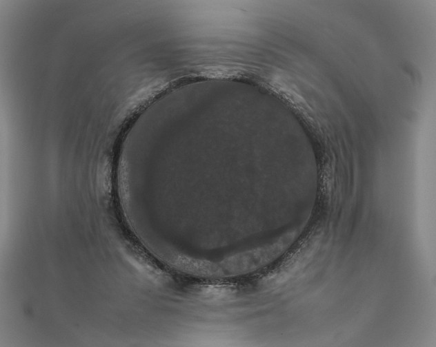 X0000111860303200908061341