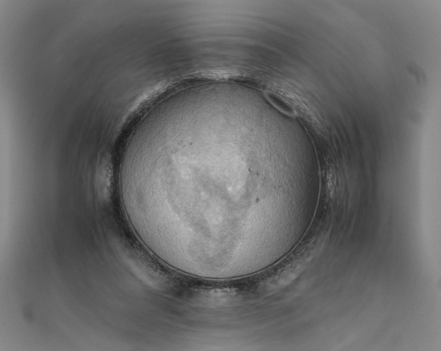 X0000111860304200908061341