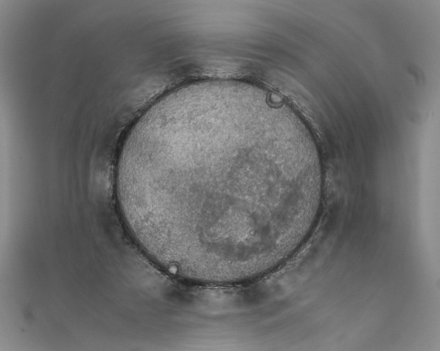 X0000111860305200908061341