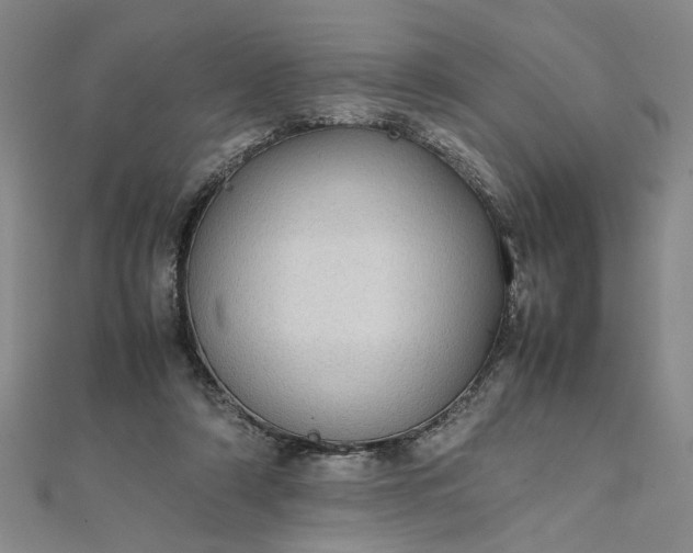 X0000111860306200908061341