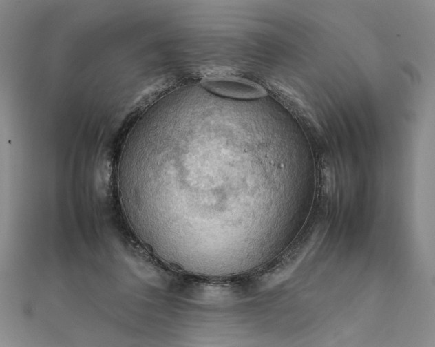 X0000111860308200908061341