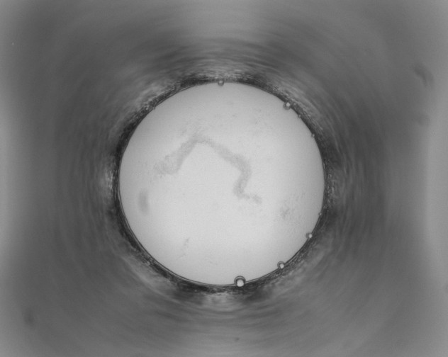 X0000111860309200908061341