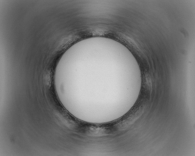 X0000111860311200908061341