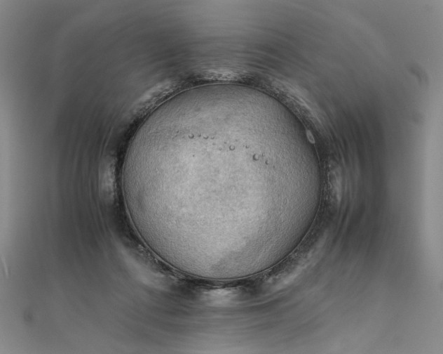 X0000111860312200908061341