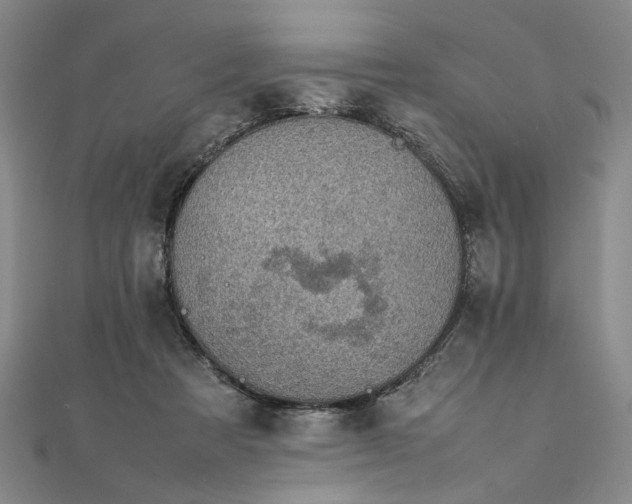 X0000111860313200908061341