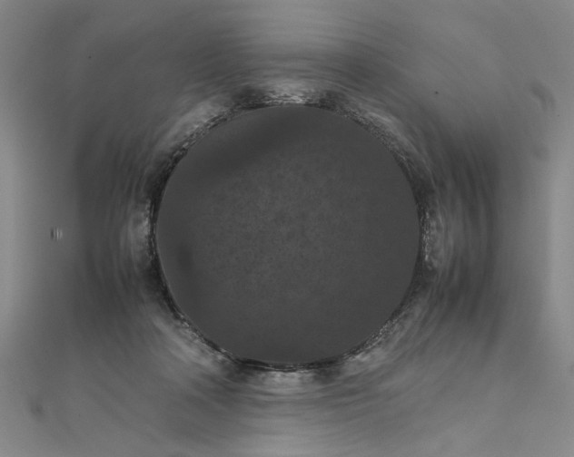 X0000111860314200908061341