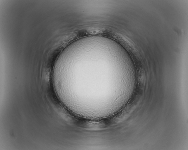 X0000111860315200908061341