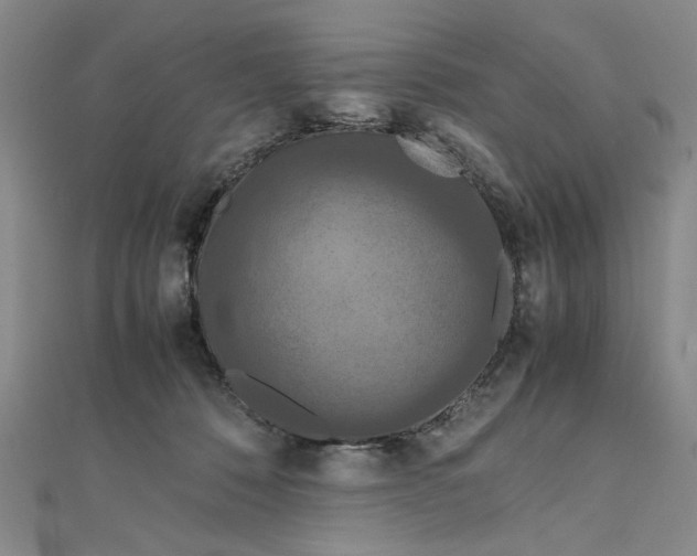 X0000111860320200908061341