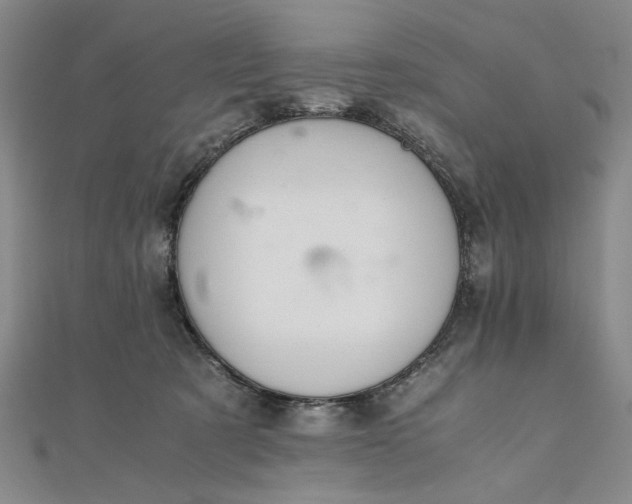 X0000111860321200908061341