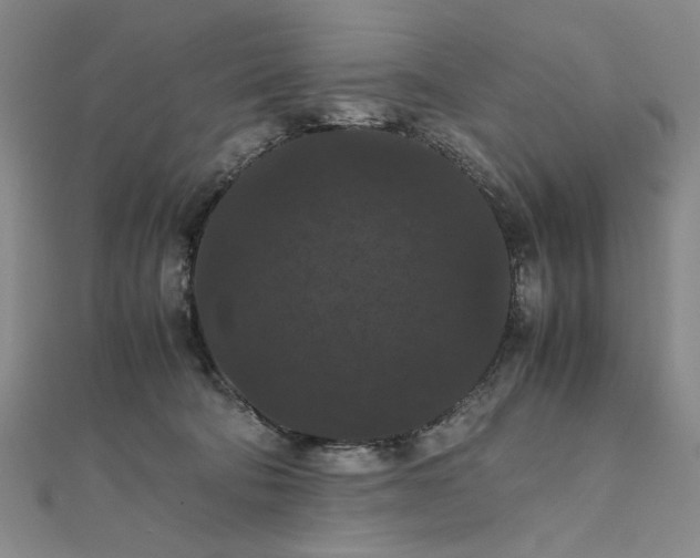 X0000111860322200908061341